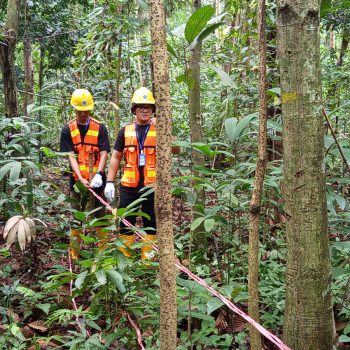 Pemanfaatan Jasling Karbon