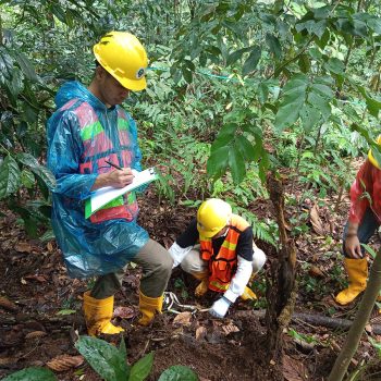 Pemanfaatan Jasling Karbon