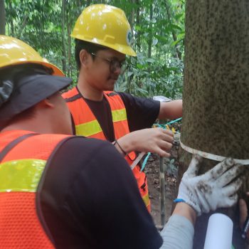 Pemanfaatan Jasling Karbon