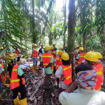 Pemanfaatan Jasling Karbon