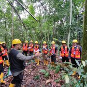 Pemanfaatan Jasling Karbon