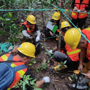 Pemanfaatan Jasling Karbon