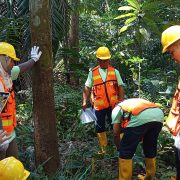 Pemanfaatan Jasling Karbon