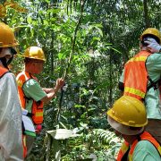 Pemanfaatan Jasling Karbon