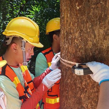 Pemanfaatan Jasling Karbon